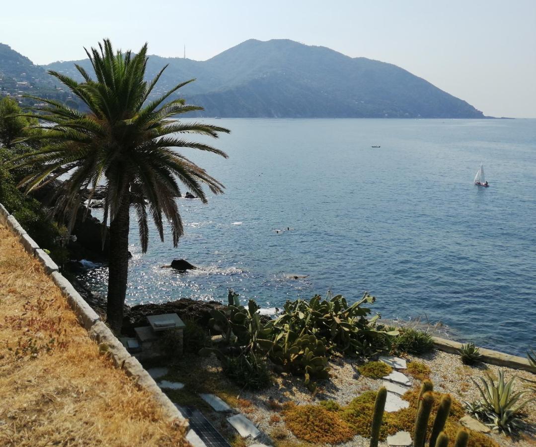 Ferienwohnung Il Grecale Recco Exterior foto